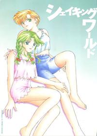 Virtual Shaking World Sailor Moon Soft 6
