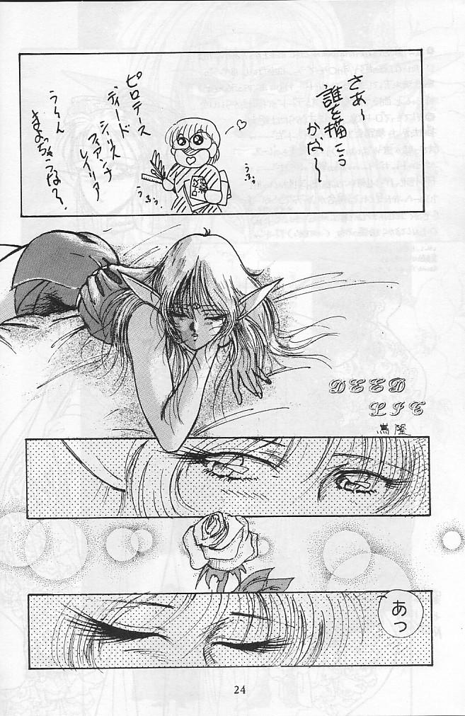 Freckles HOHETO 4 - Record of lodoss war Gay Blondhair - Page 2