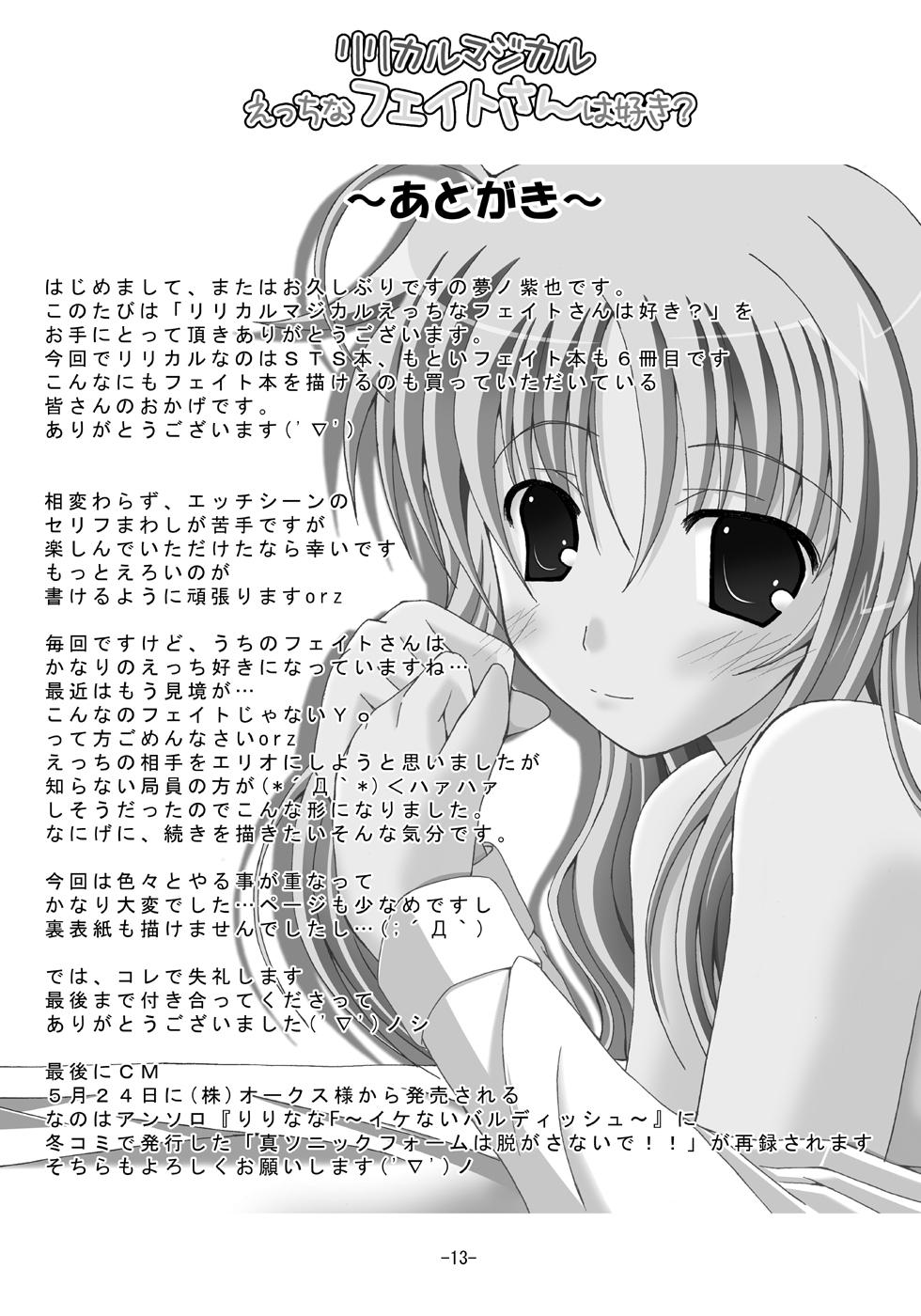 Lyrical Magical Ecchi na Fate-san wa Suki? 11