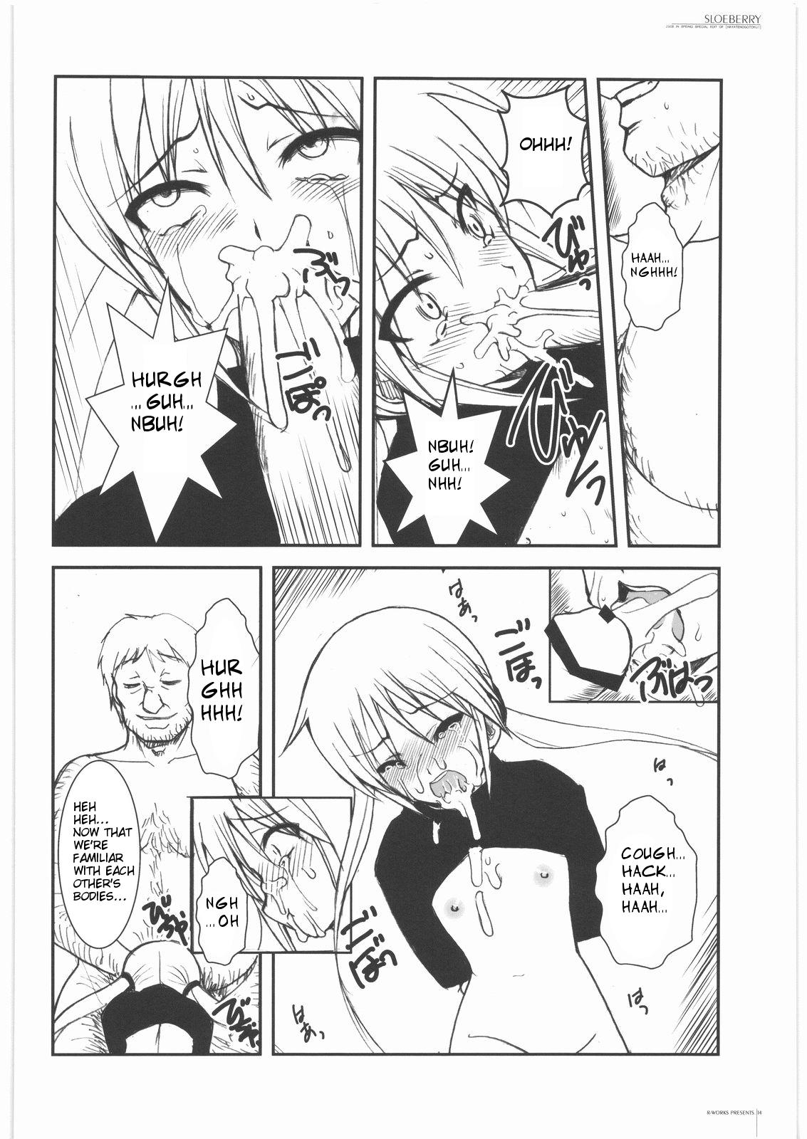 Large SLOEBERRY - Hayate no gotoku The - Page 13