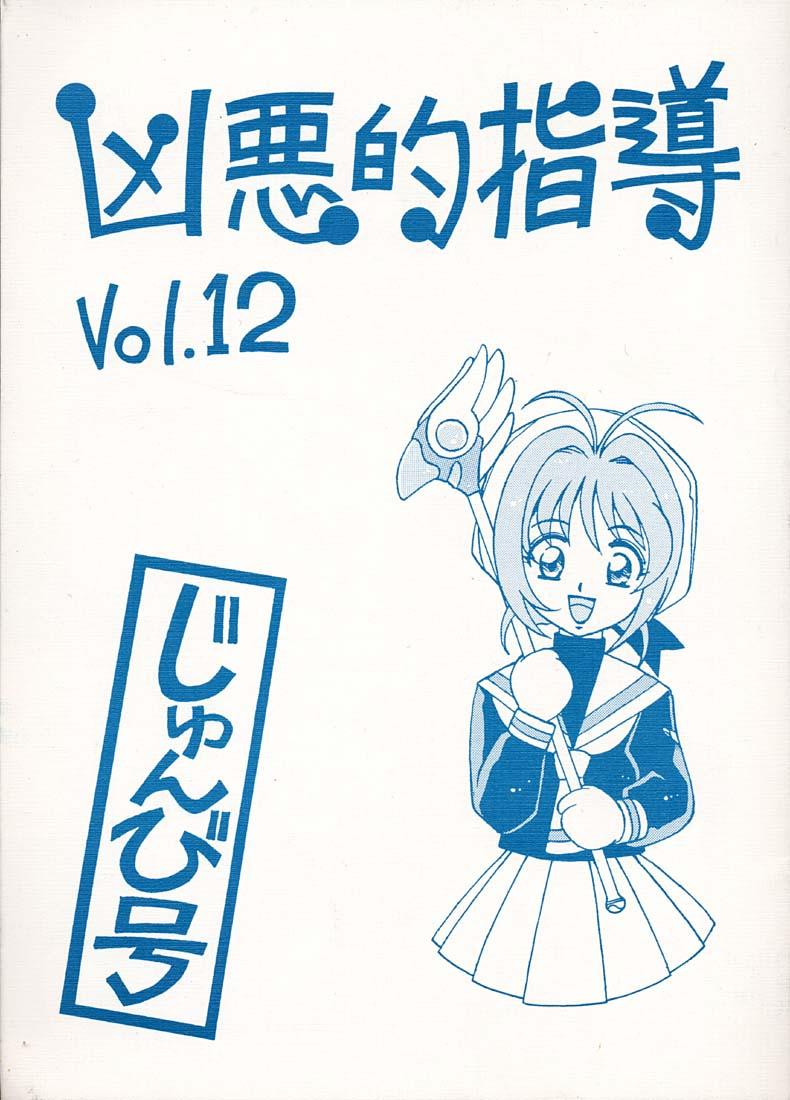 Kyouakuteki Shidou Vol. 12 Junbigou 0