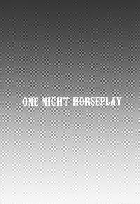 ONE NIGHT HORSEPLAY 2
