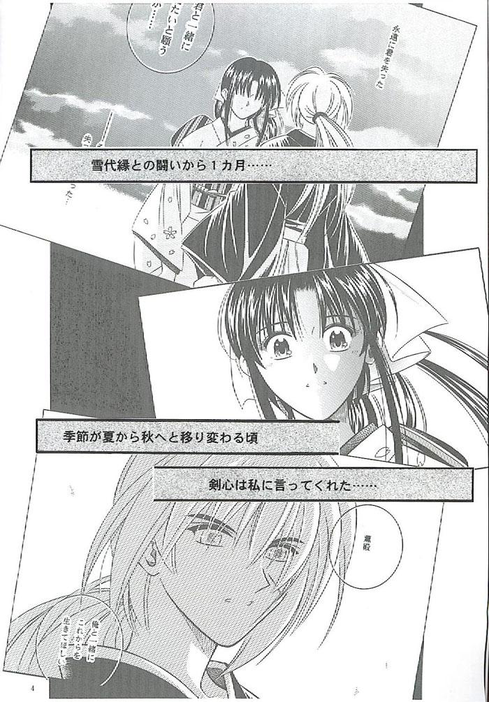 Skype Make Love - Rurouni kenshin Shot - Page 2