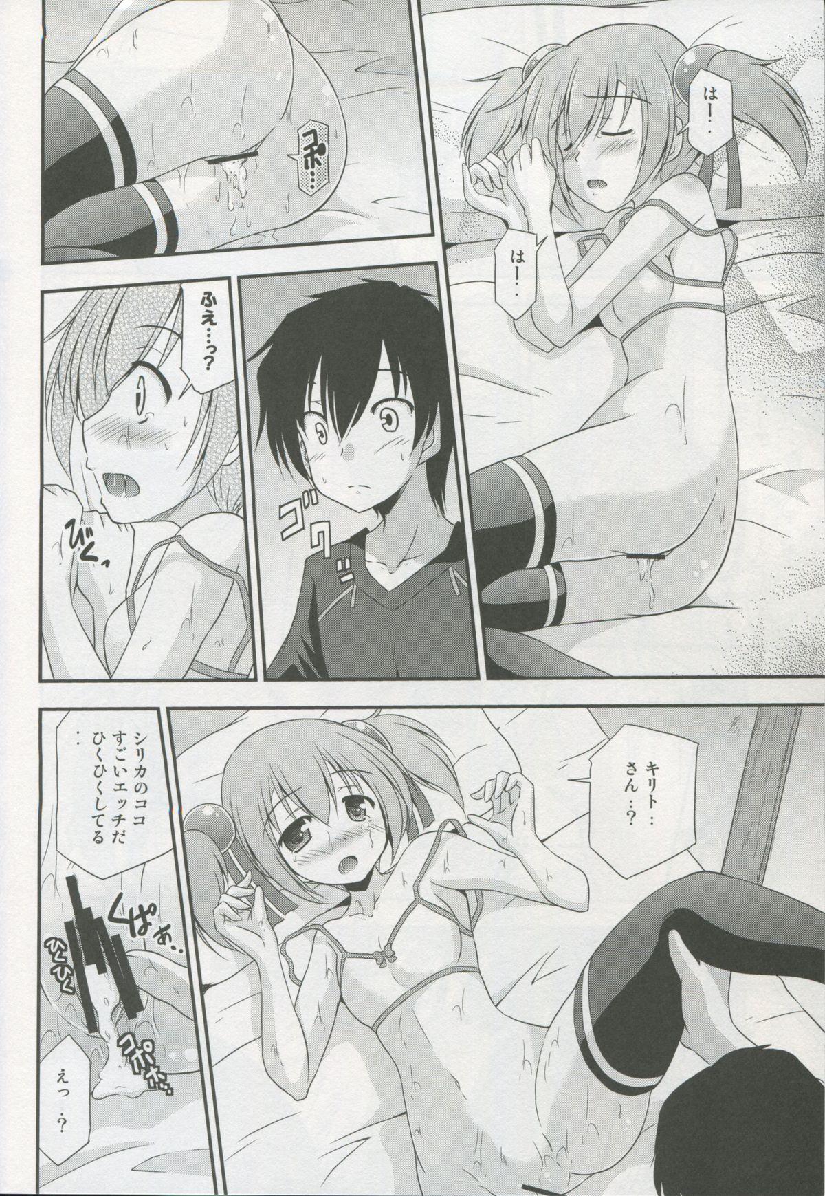 Silica Route Online 22