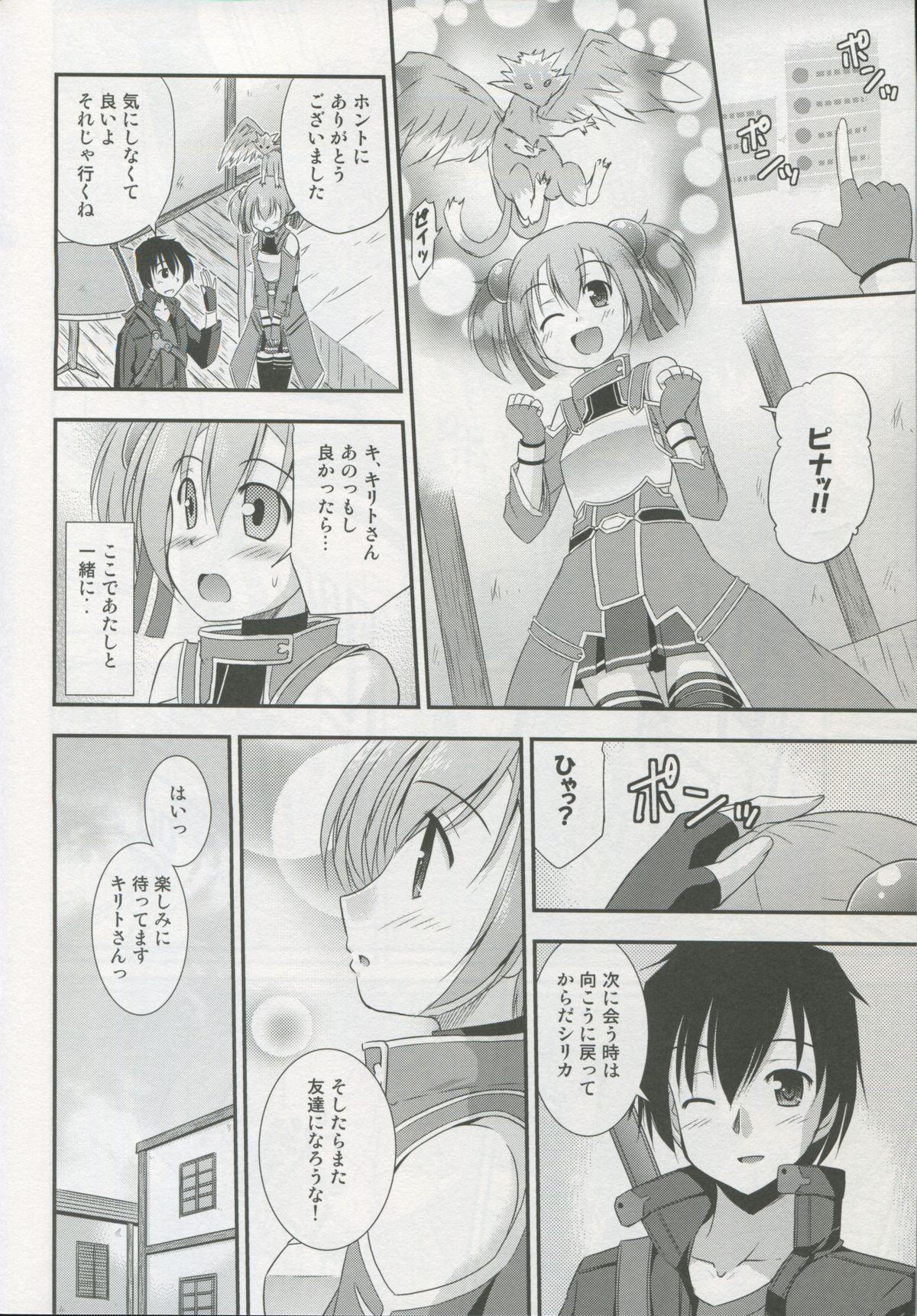 Silica Route Online 26