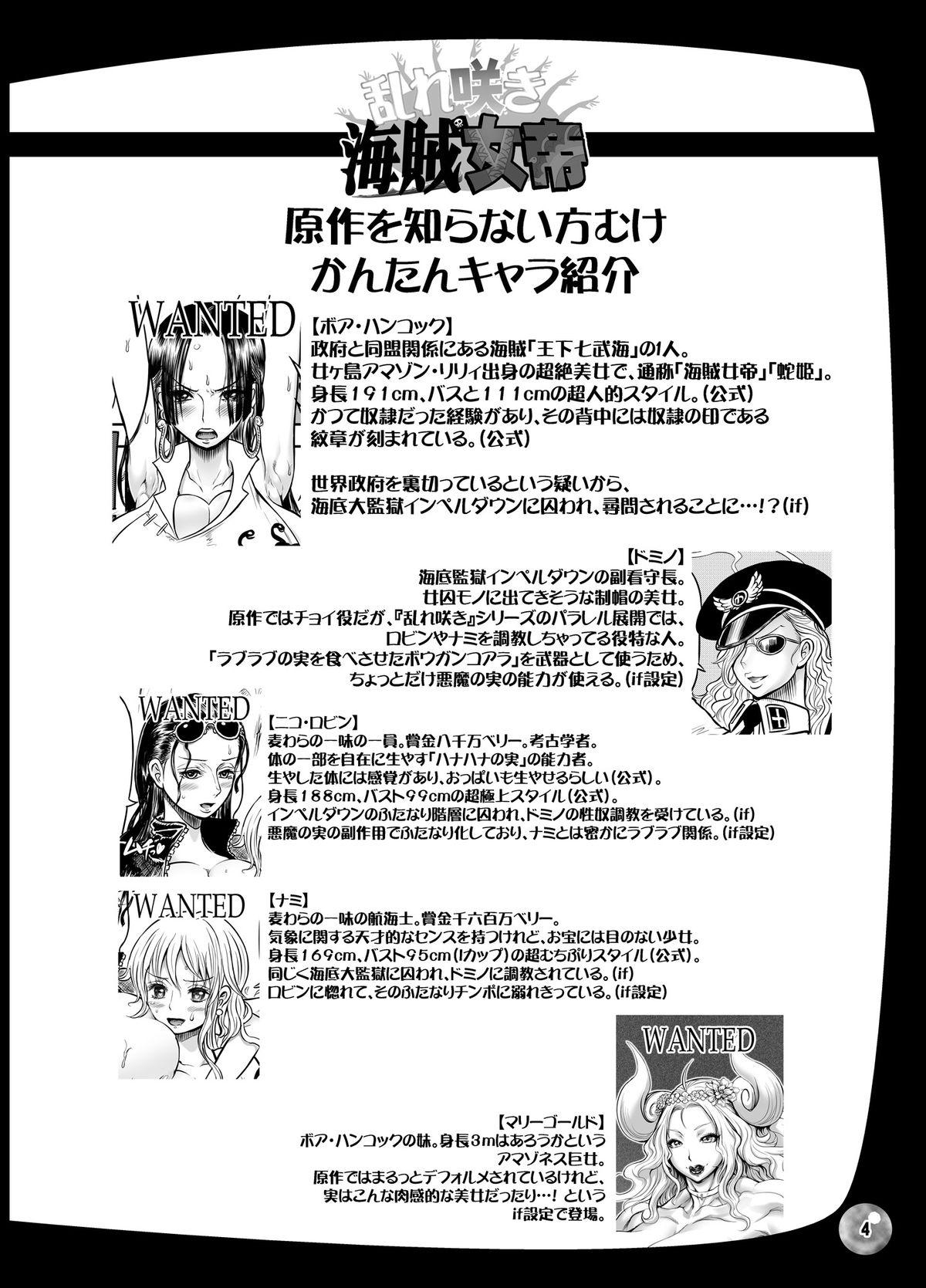 Pure 18 Midarezaki Kaizoku Jotei - One piece Huge Tits - Page 4