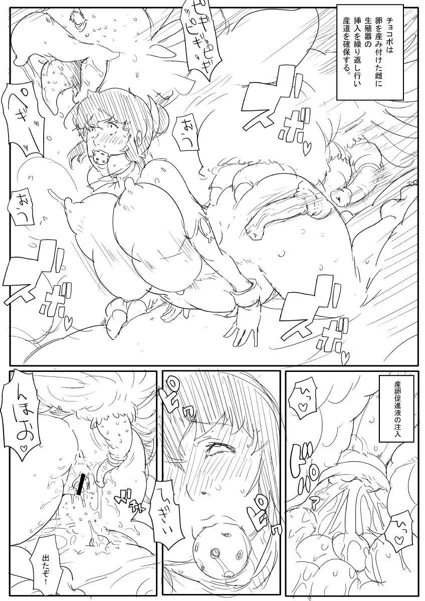 お姉さんの漫画 13