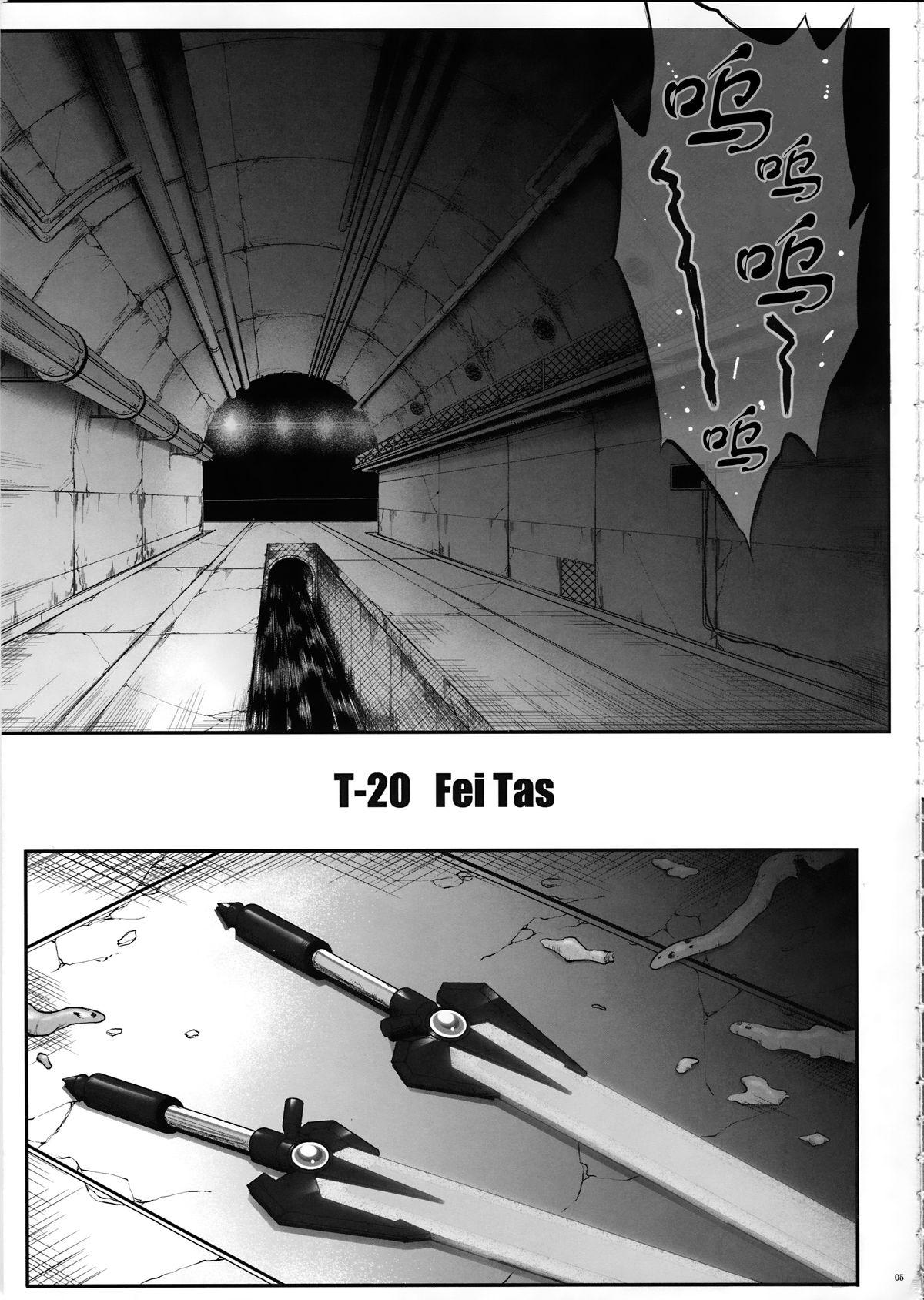 T-20 Fei Tas 4