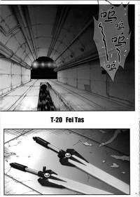 T-20 Fei Tas 5