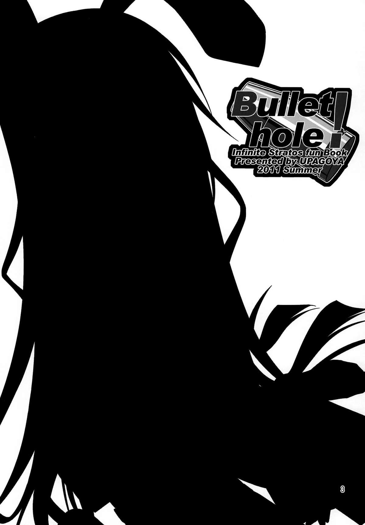 Bullet Hole! 1