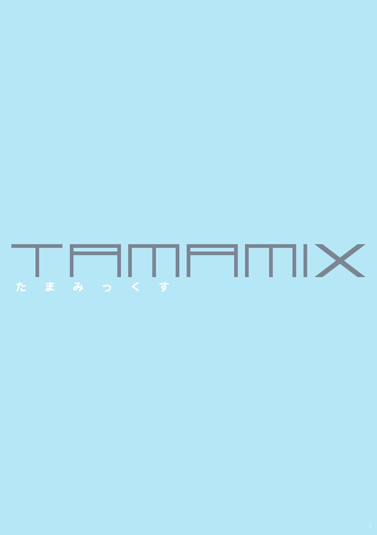 TAMAMIX DLver. 1