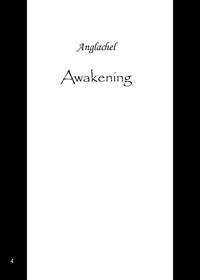 Awakening 3