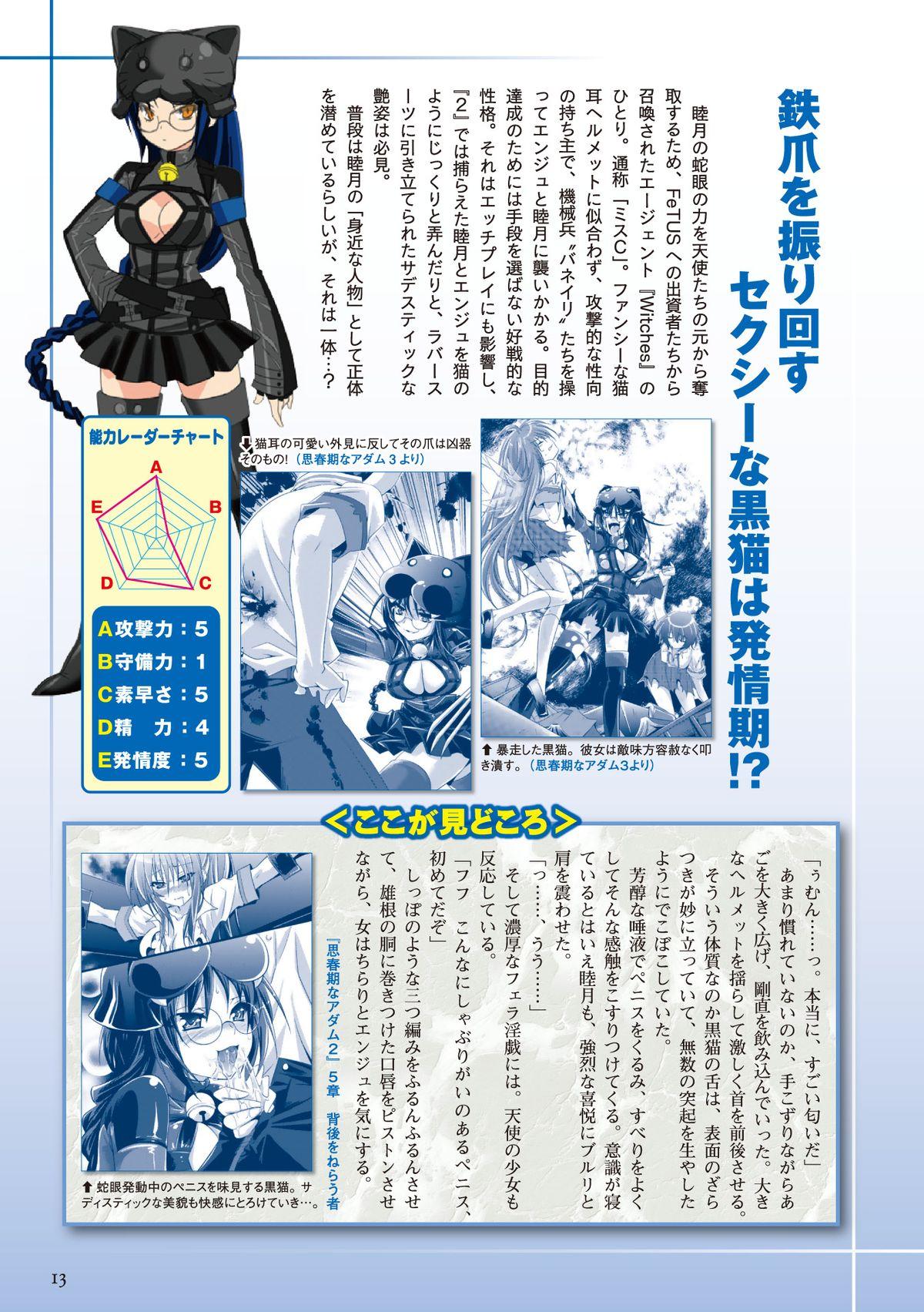 Shishunki na Adam Choi Netabare Guidebook 12