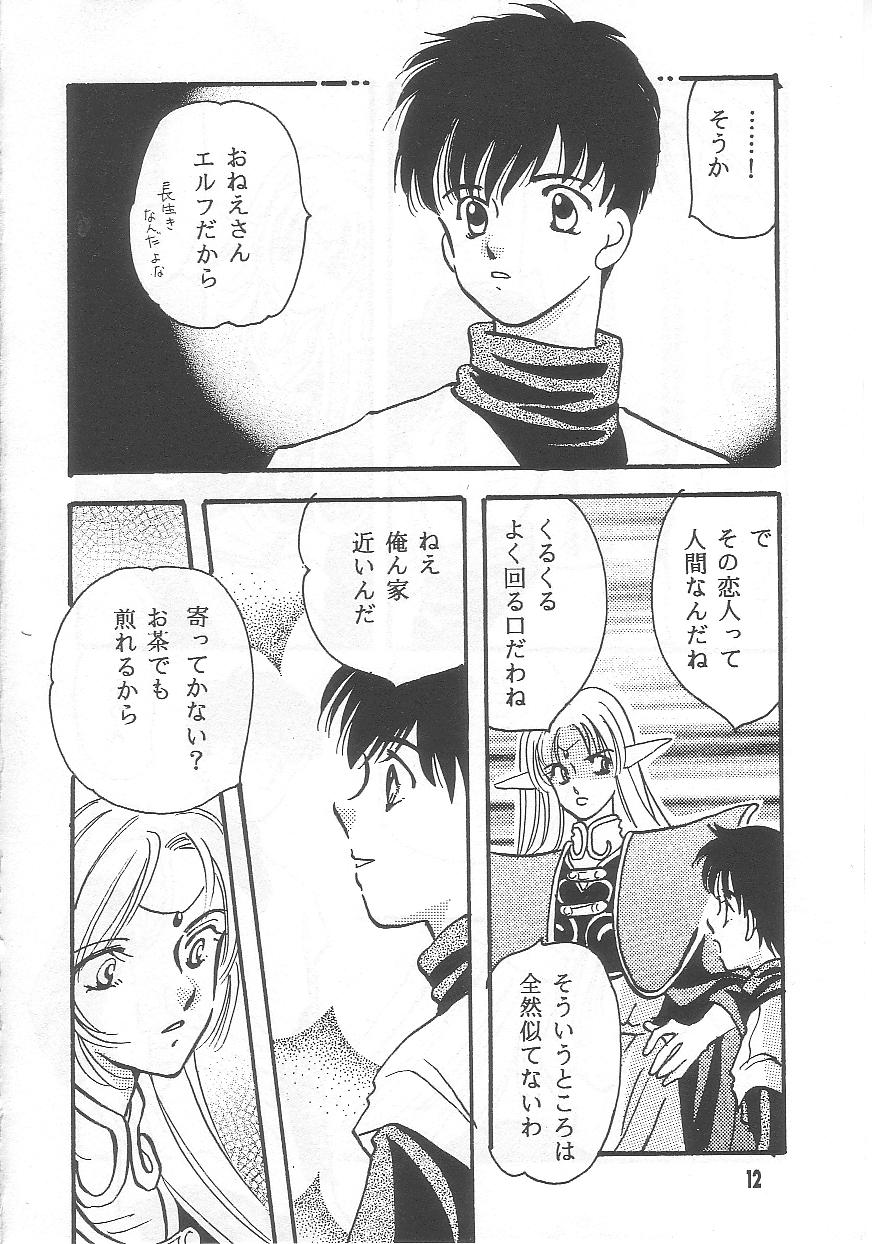 Affair Uso K - Record of lodoss war Buceta - Page 11