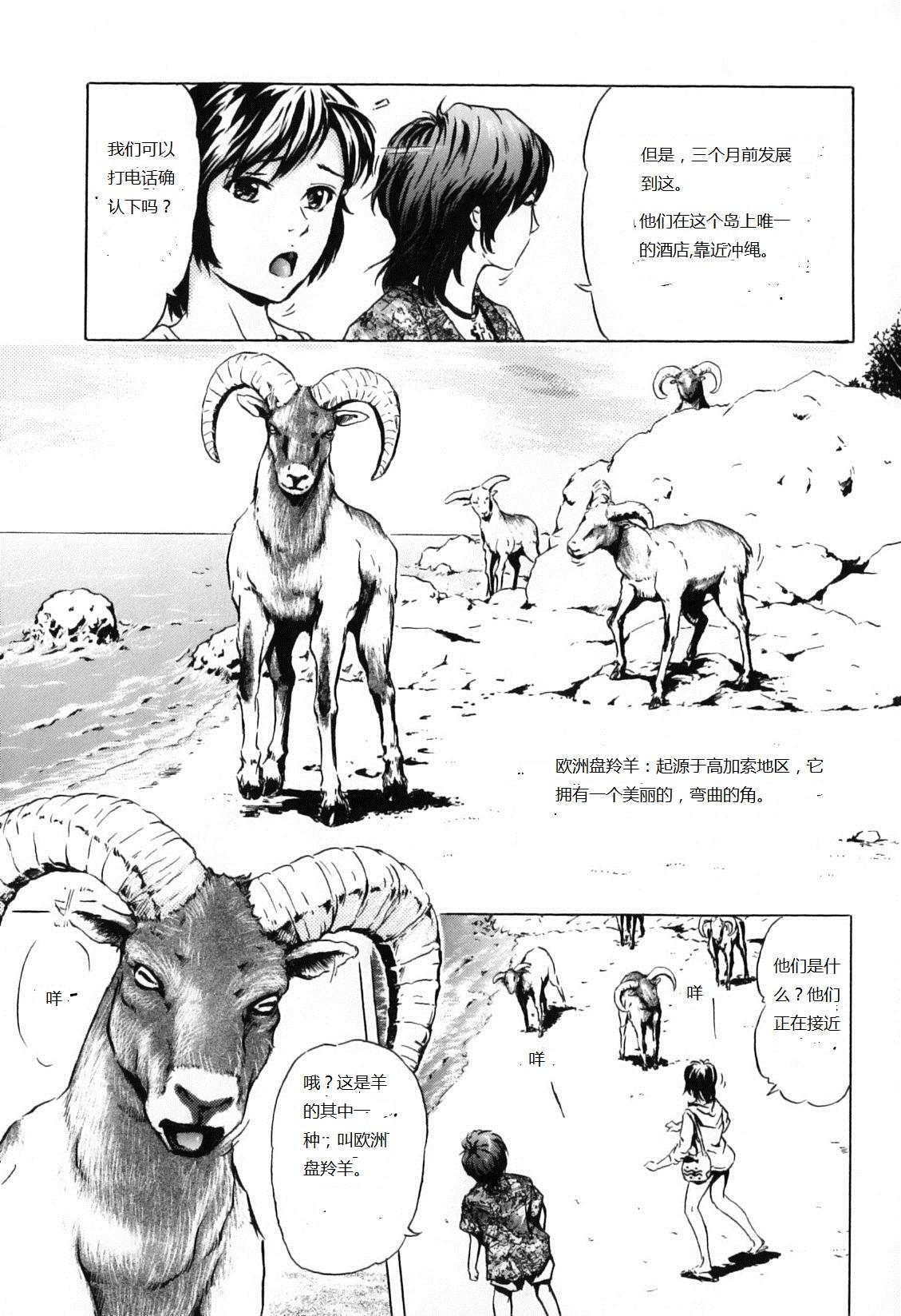 Nangoku no Mouflon | Mouflon of the South 2