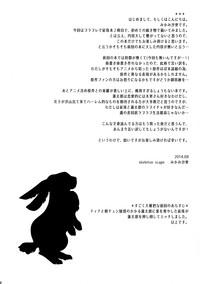 little rabbit 2 6