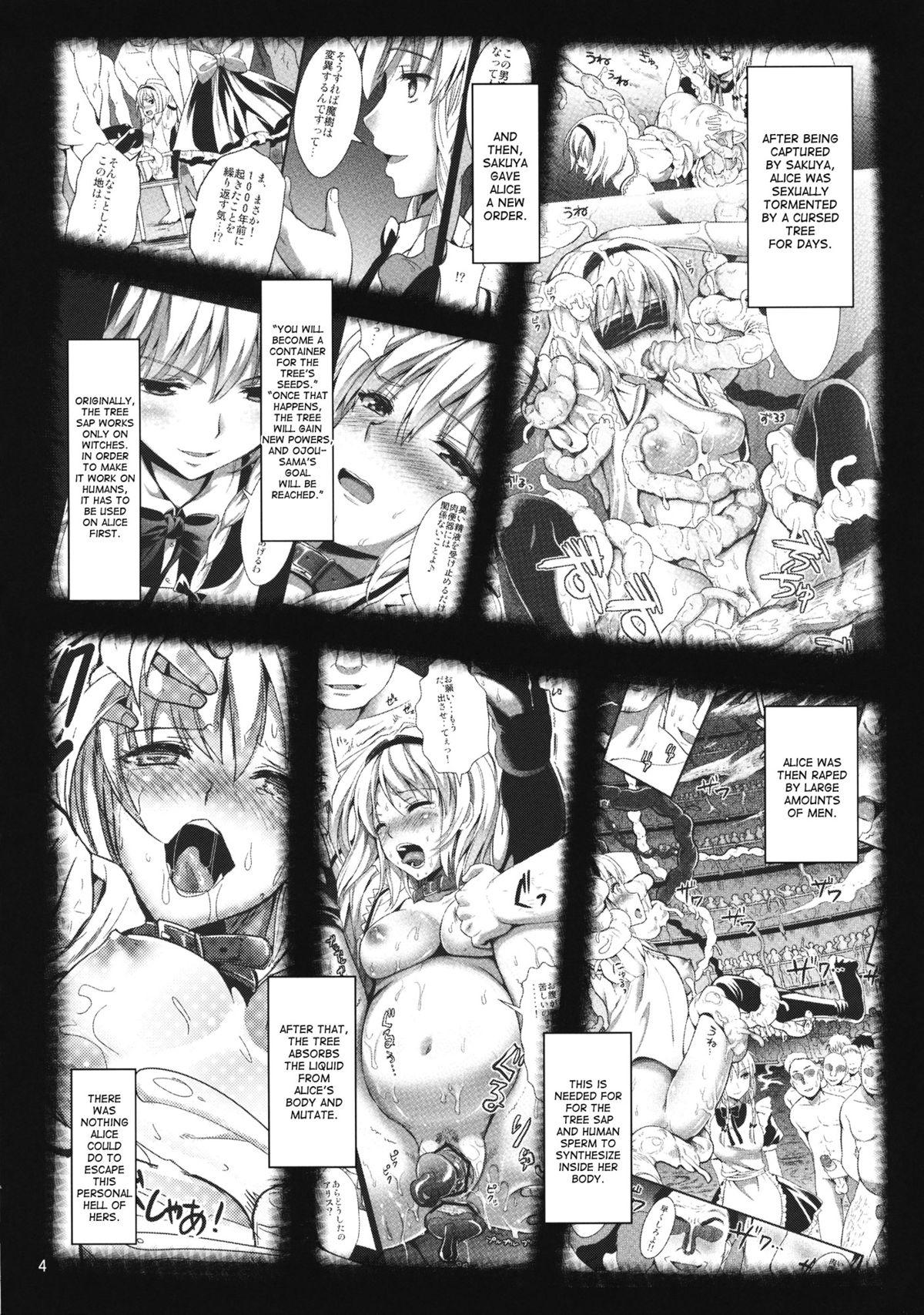 Camsex R Shoku 2C - Touhou project Cam Girl - Page 2