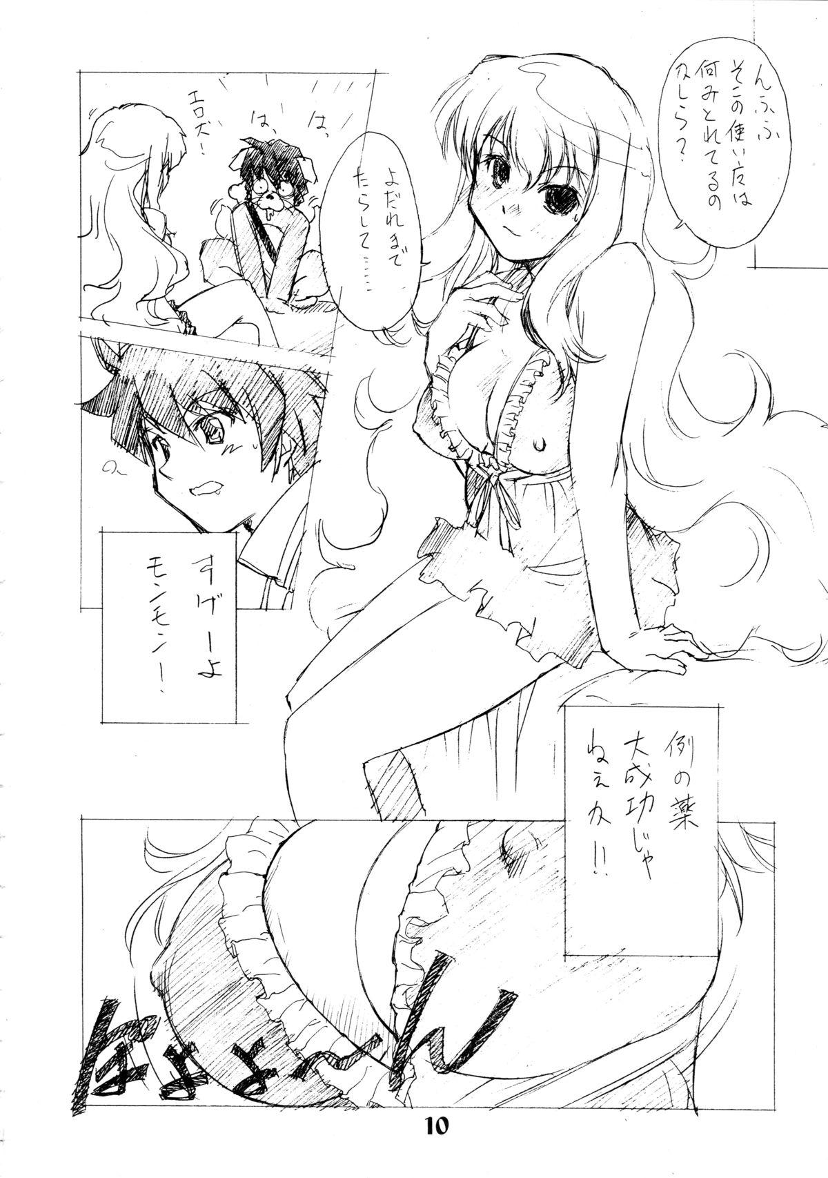 Cam Zero Revo 2 - Zero no tsukaima Kissing - Page 10