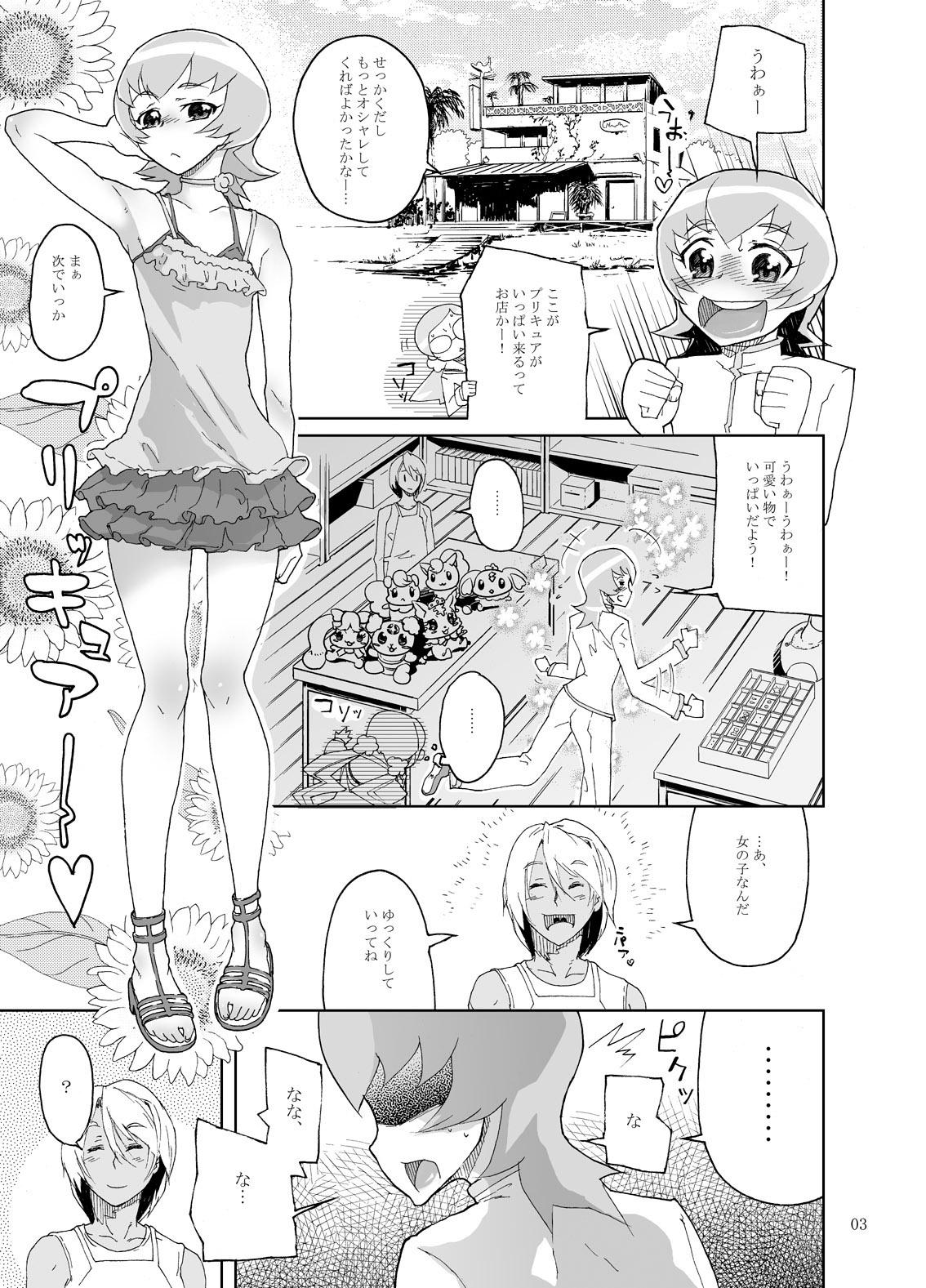 Teamskeet STARS2 - Pretty cure Heartcatch precure Yes precure 5 Exibicionismo - Page 3