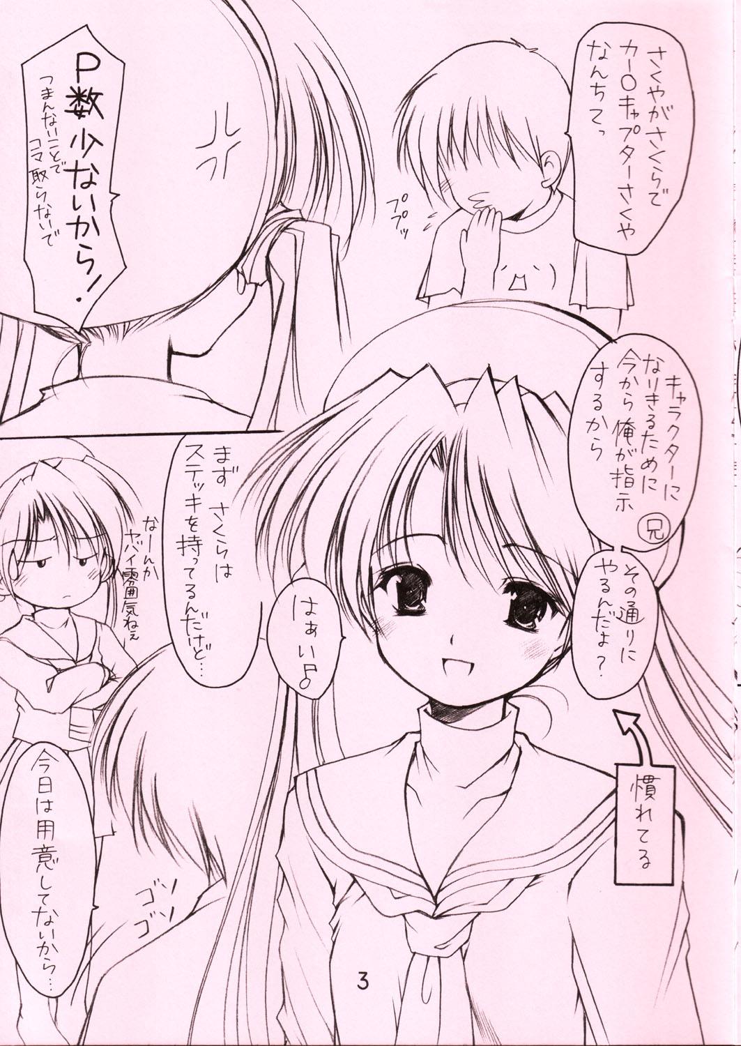 Oniisama e... 4.5 Sister Princess "Sakuya" Book No.8 2