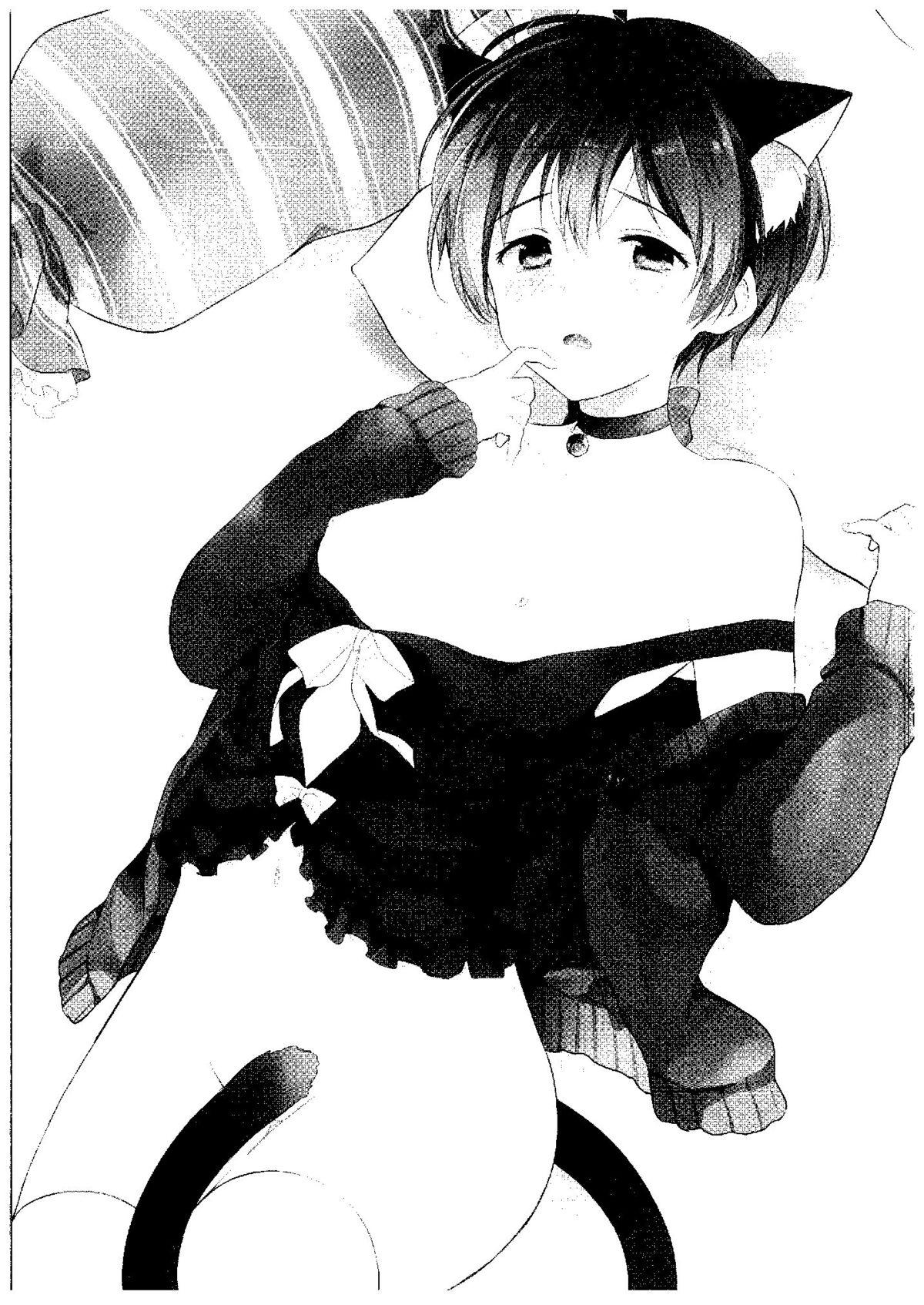 Haru no Samishi ga Rin-chan 1