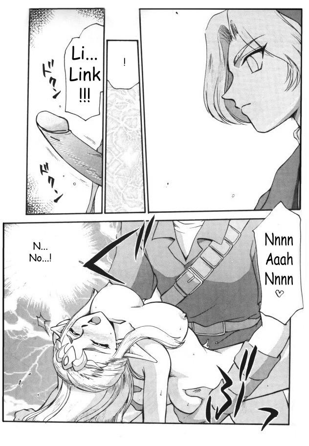 NISE Zelda no Densetsu Shinshou 13
