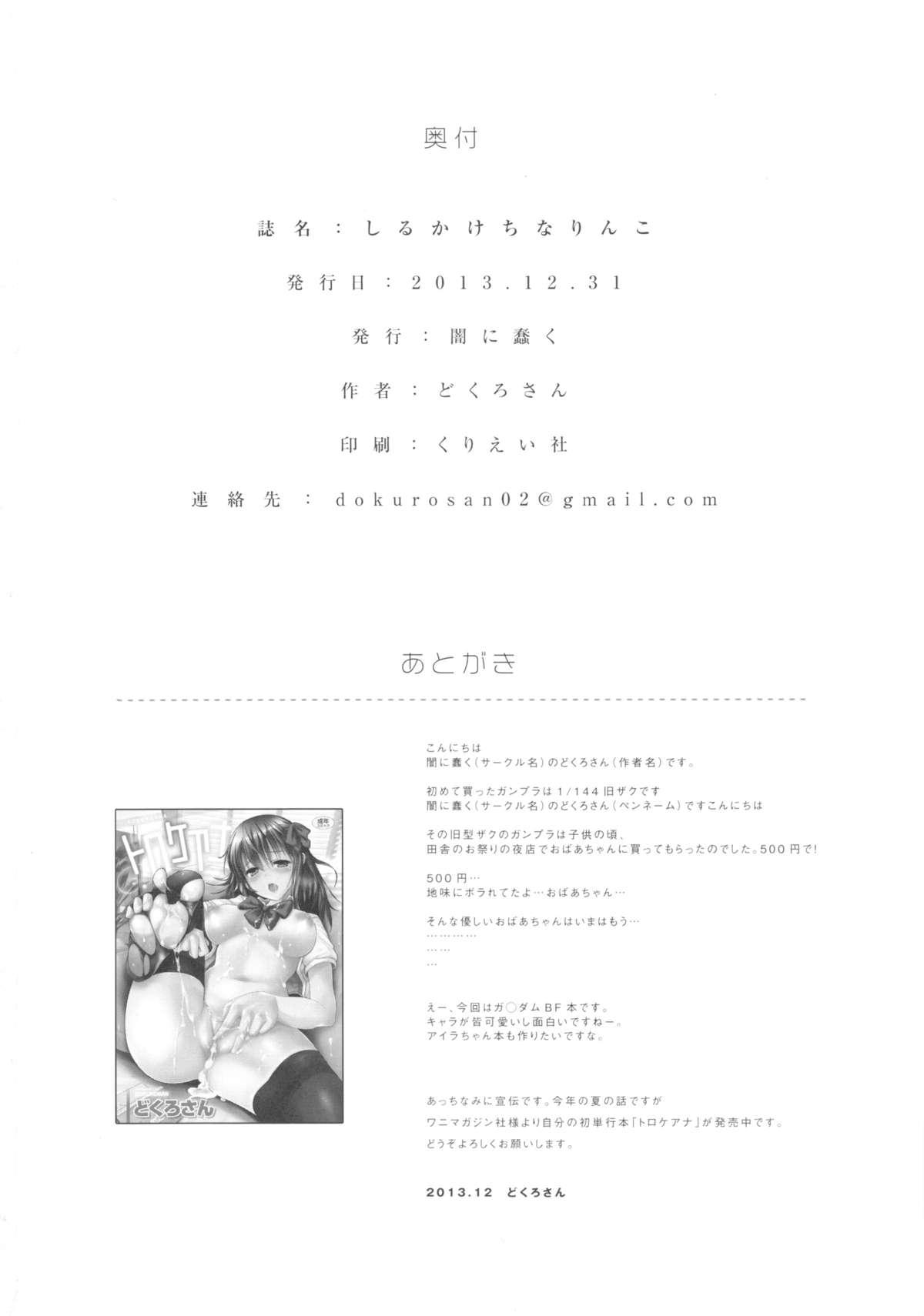 Namorada Shirukake China Rinko - Gundam build fighters Dominatrix - Page 25