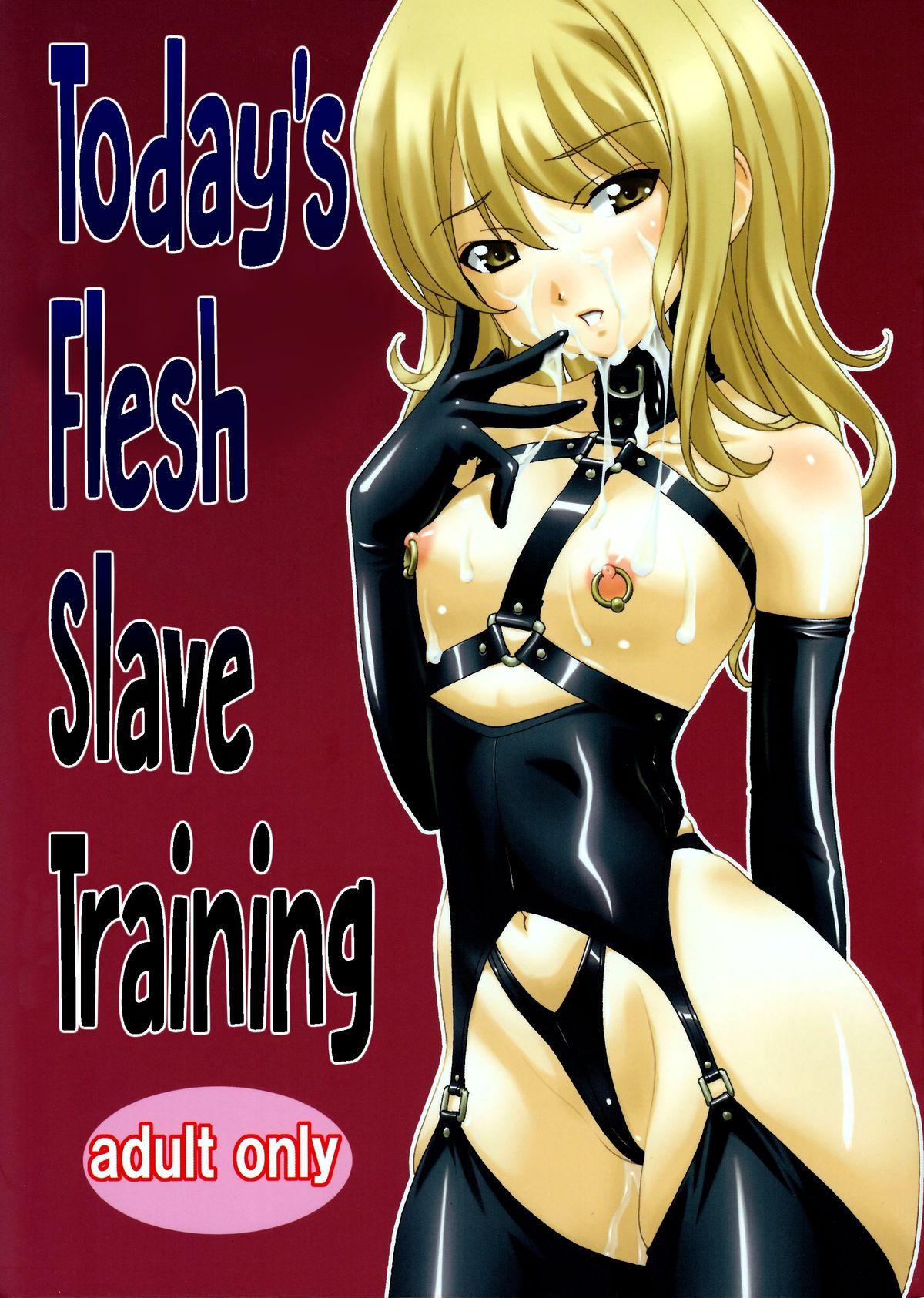 Honjitsu no Nikudorei Choukyou | Today's Flesh Slave Training 0