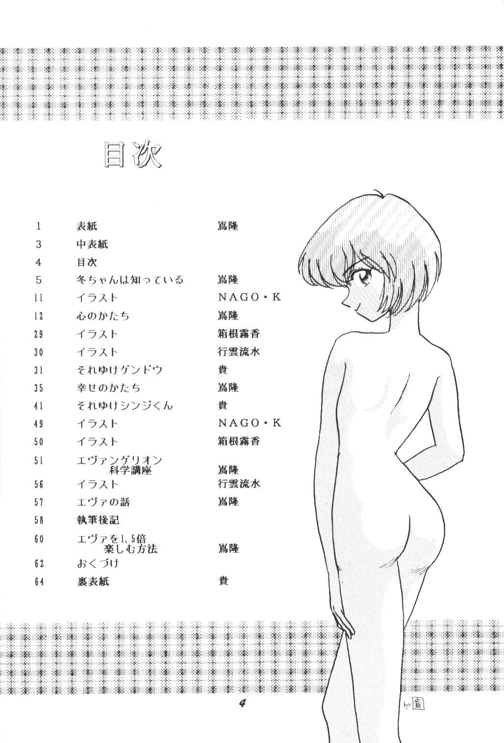 (C50) [Studio Boxer (Shima Takashi, Taka) HOHETO 13 (Neon Genesis Evangelion) 2