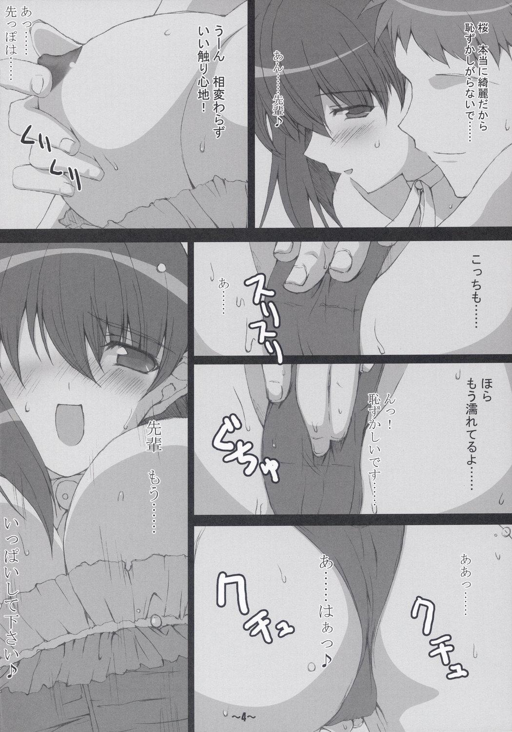 Gay Straight Hard Flogs vol.2 - Fate stay night Gang - Page 5