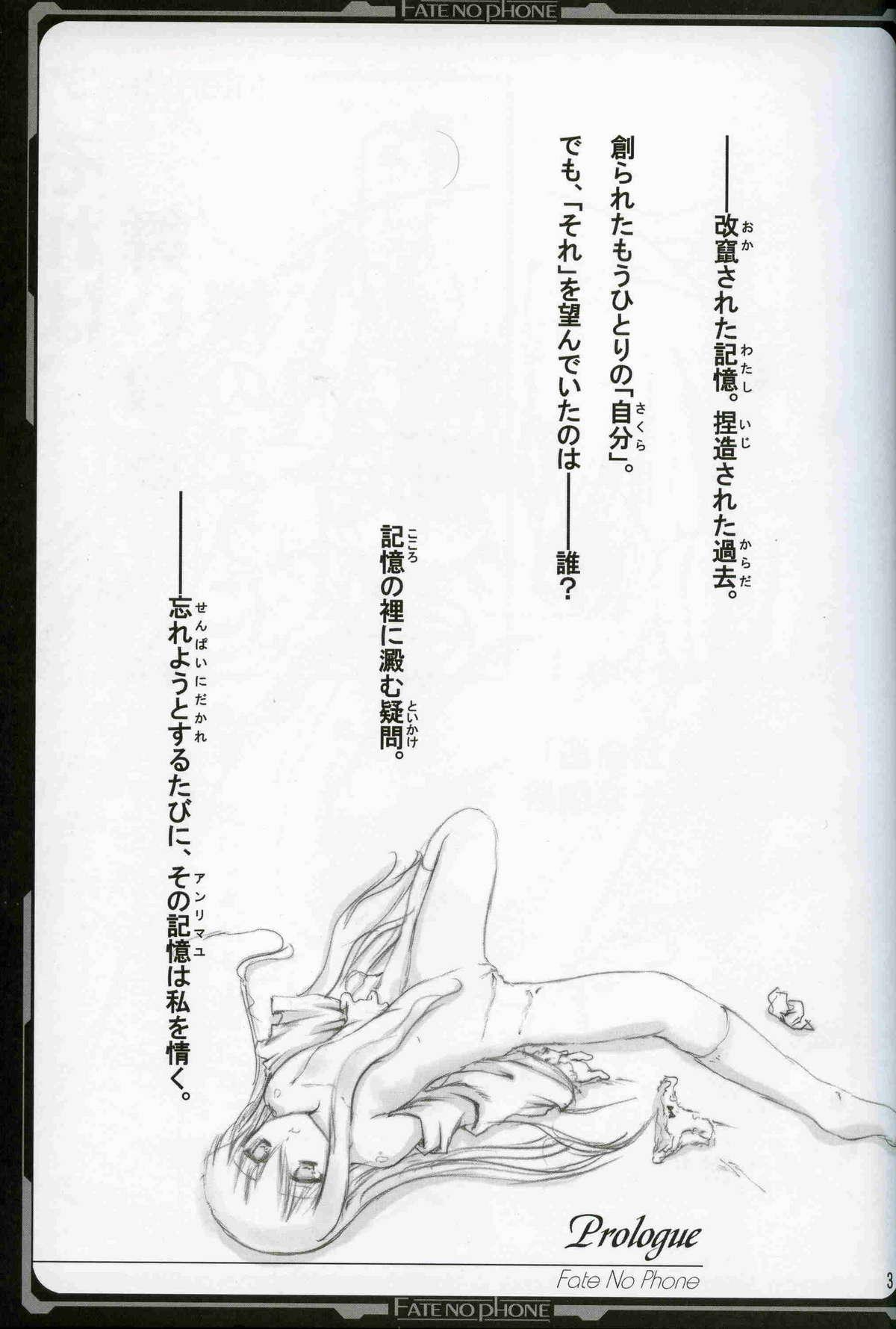 Teenage Sex Fate/no phone - Fate stay night Cocksucker - Page 2
