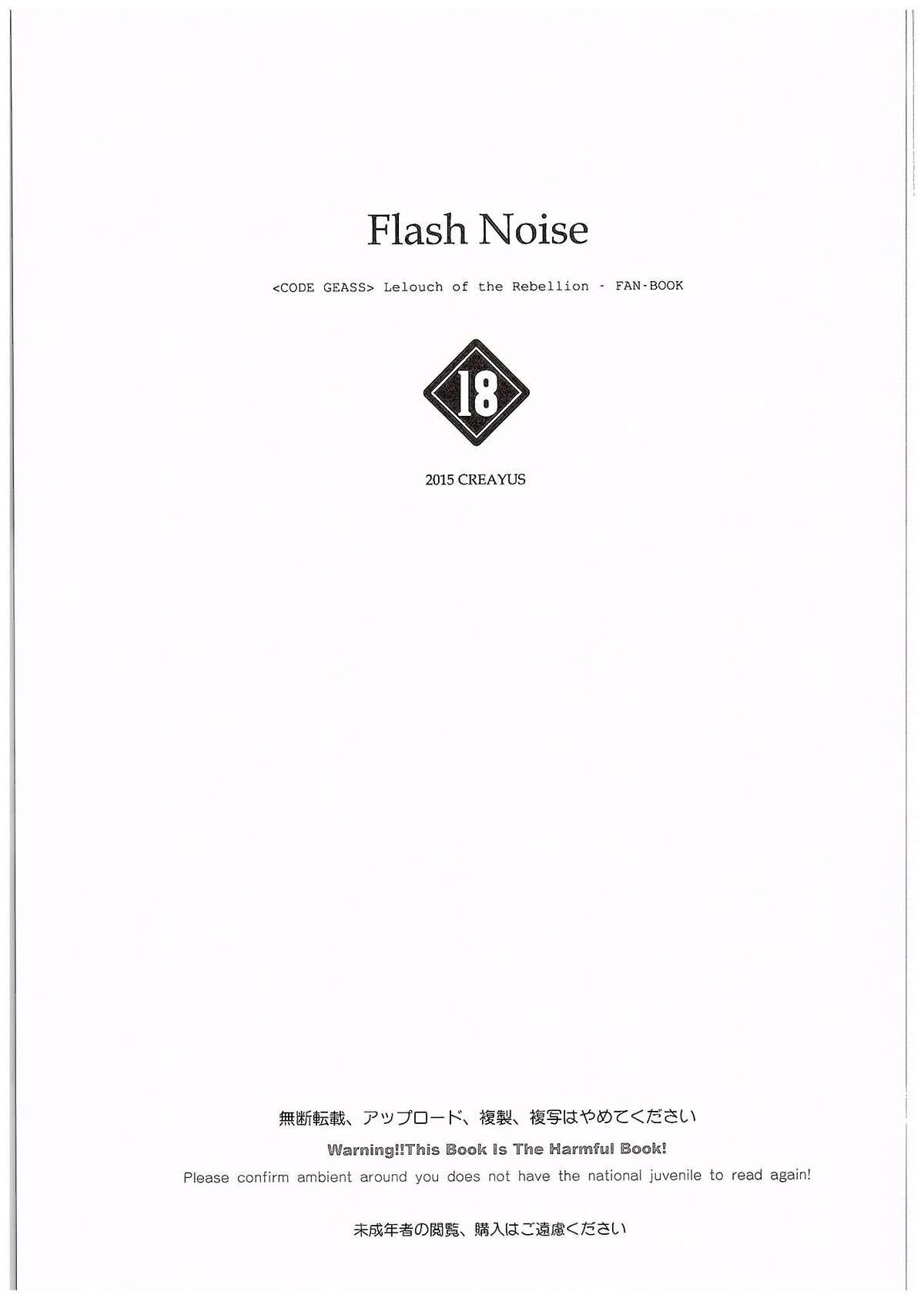 FLASH NOISE 1