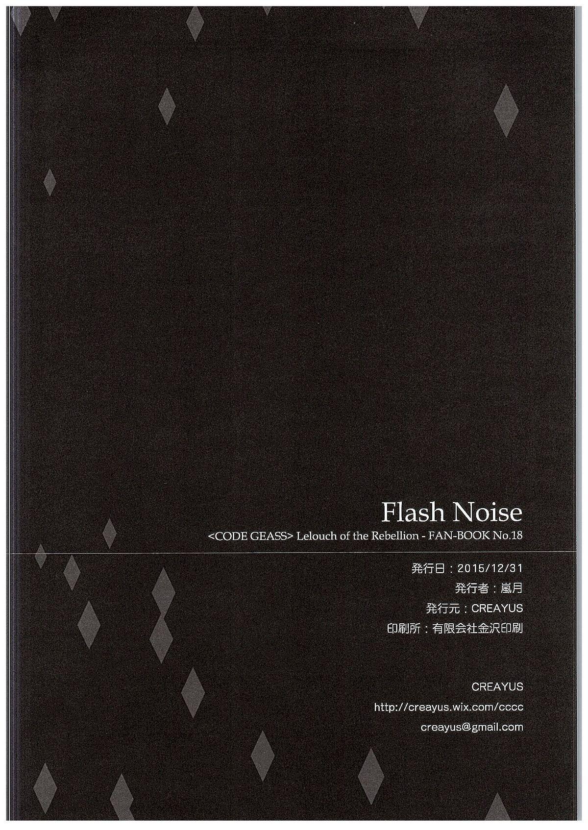 FLASH NOISE 24