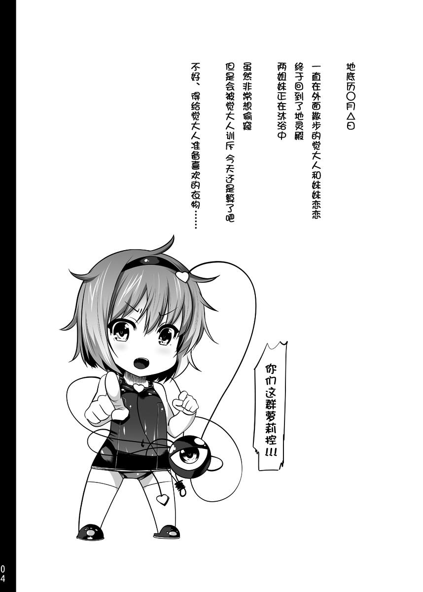 Gordinha Sukumizu Satorin o Tadatada Mederu dake no Hon - Touhou project Moaning - Page 3