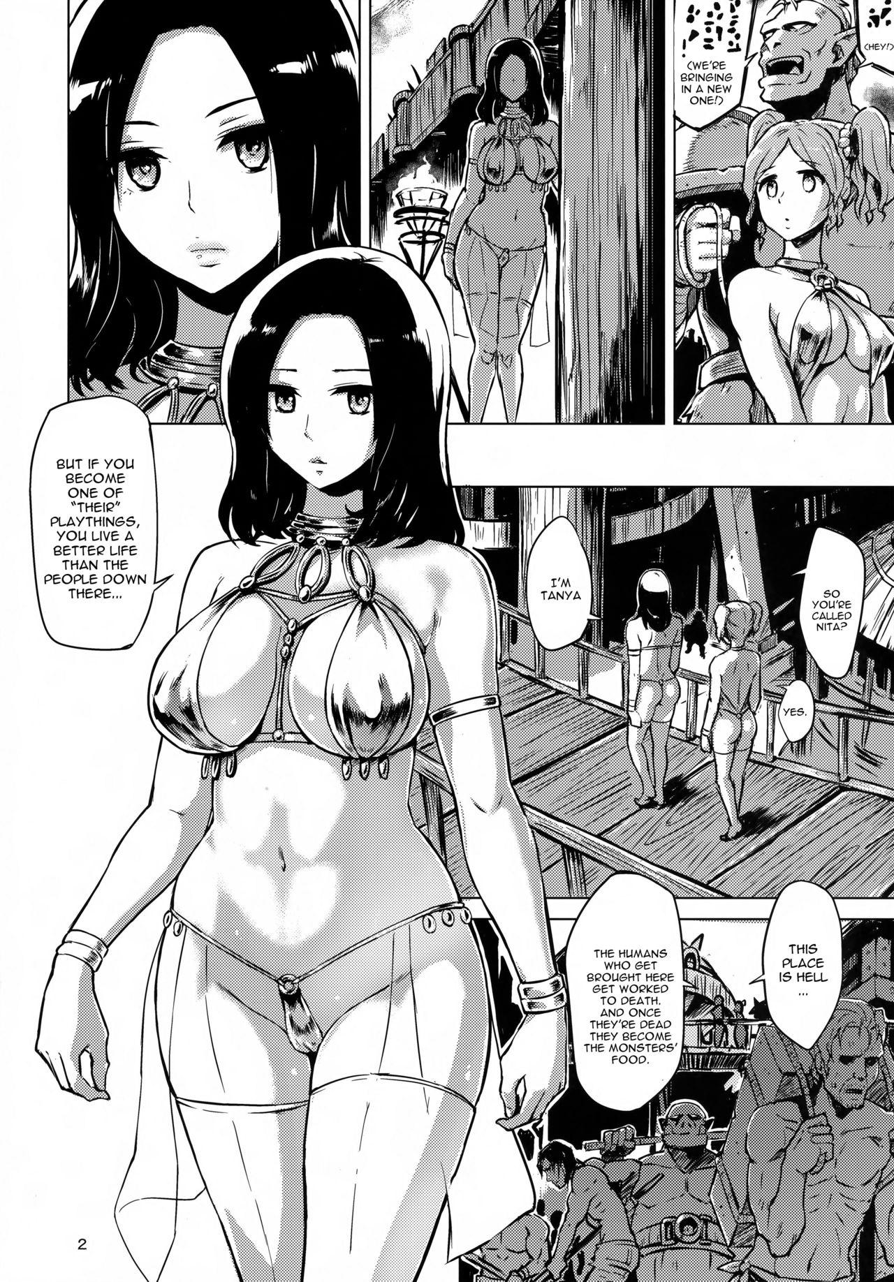 Hot Girl Dark Palace Inyoku no Kyuuden Hoe - Page 4