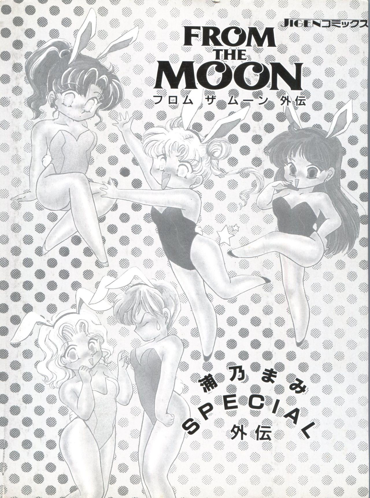 Lady From the Moon Gaiden - Sailor moon Large - Page 166