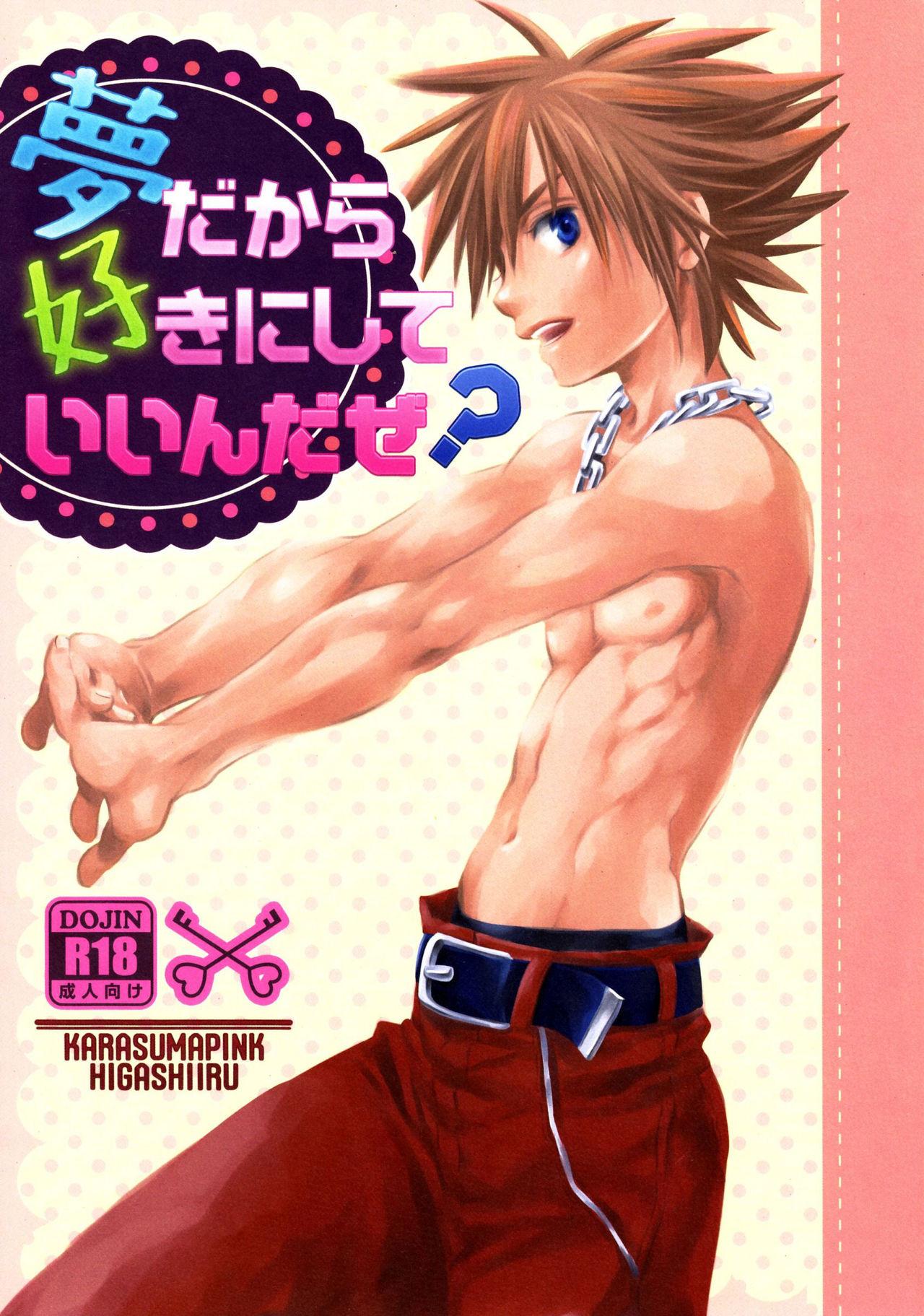 Gaypawn Yume Dakara Suki ni Shite ii nda ze? - Kingdom hearts Bro - Picture 1