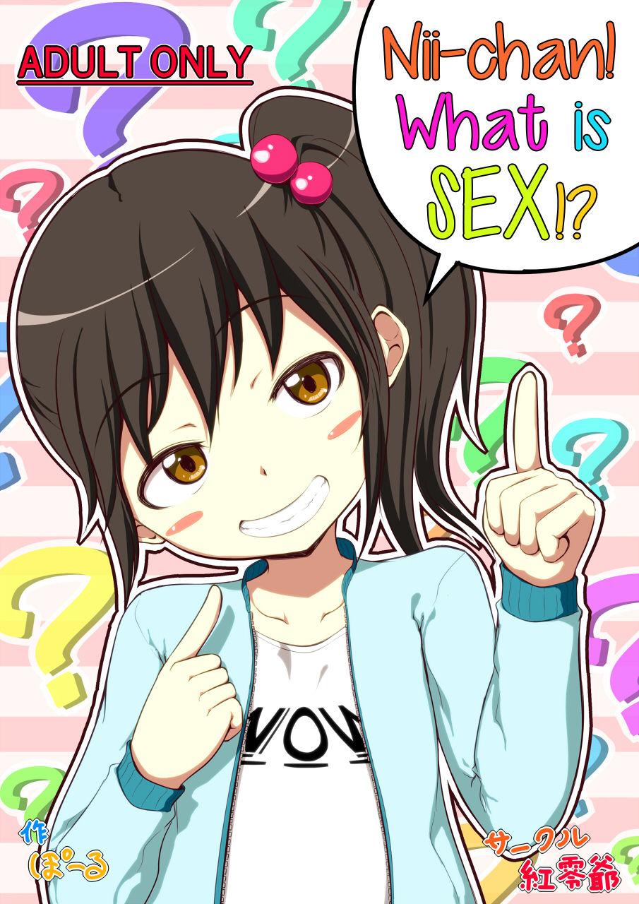 [Kureiji (Pooru)] Nii-chan SEX tte Nani!? | Nii-chan! What is SEX!? [English] [sneikkimies] 0