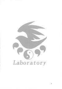 Laboratory 4