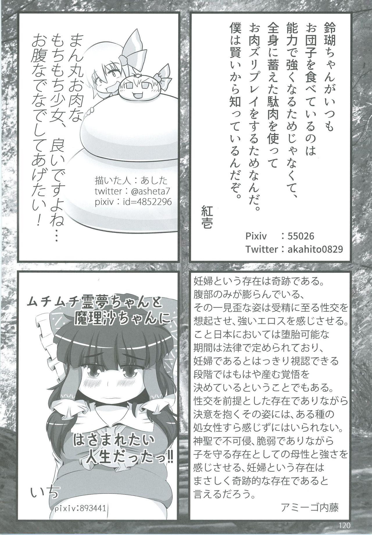 Touhou Oniku Goudou Ni 120