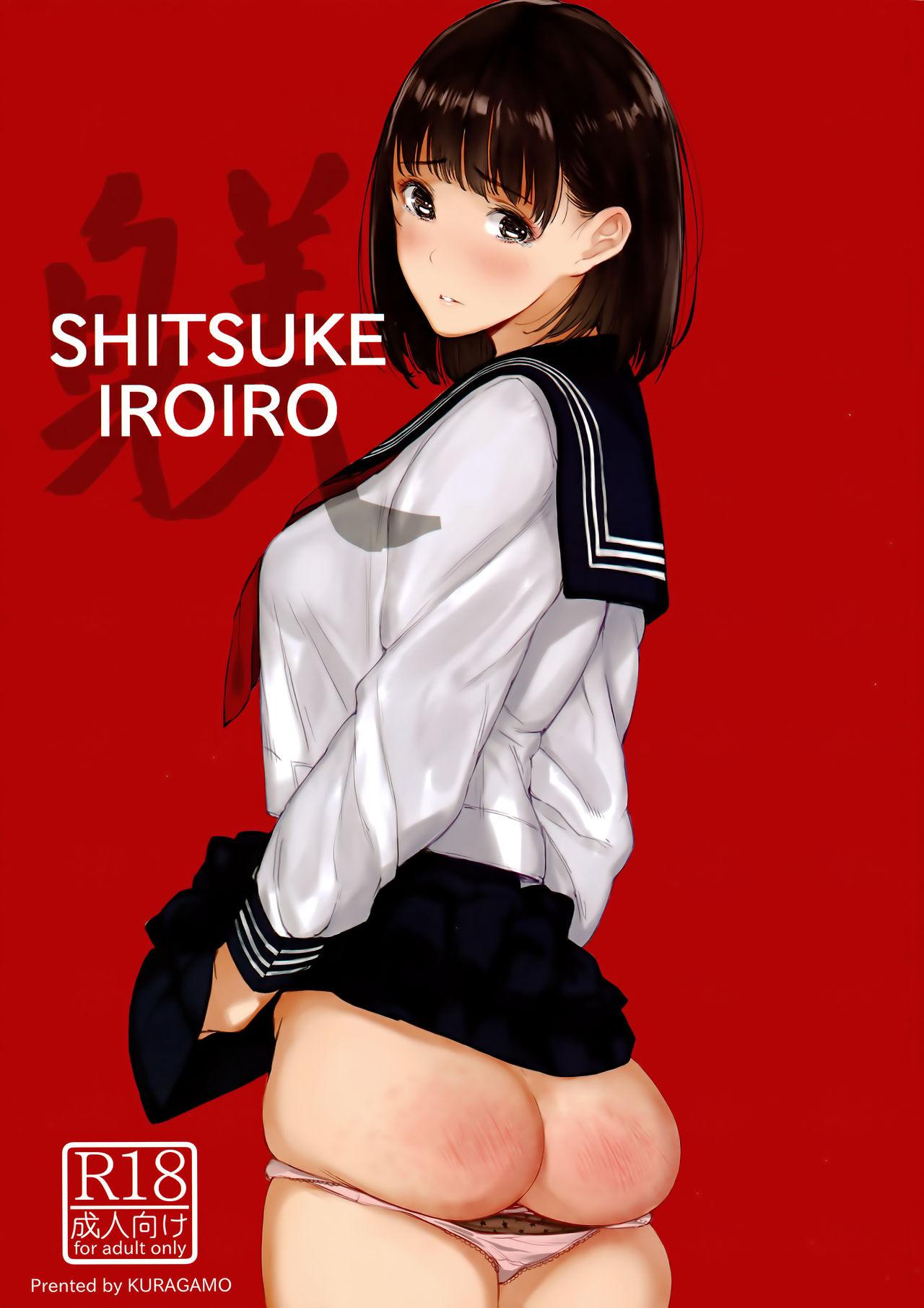 SHITSUKE IROIRO 0