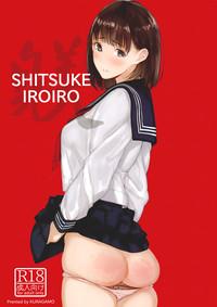 SHITSUKE IROIRO 2