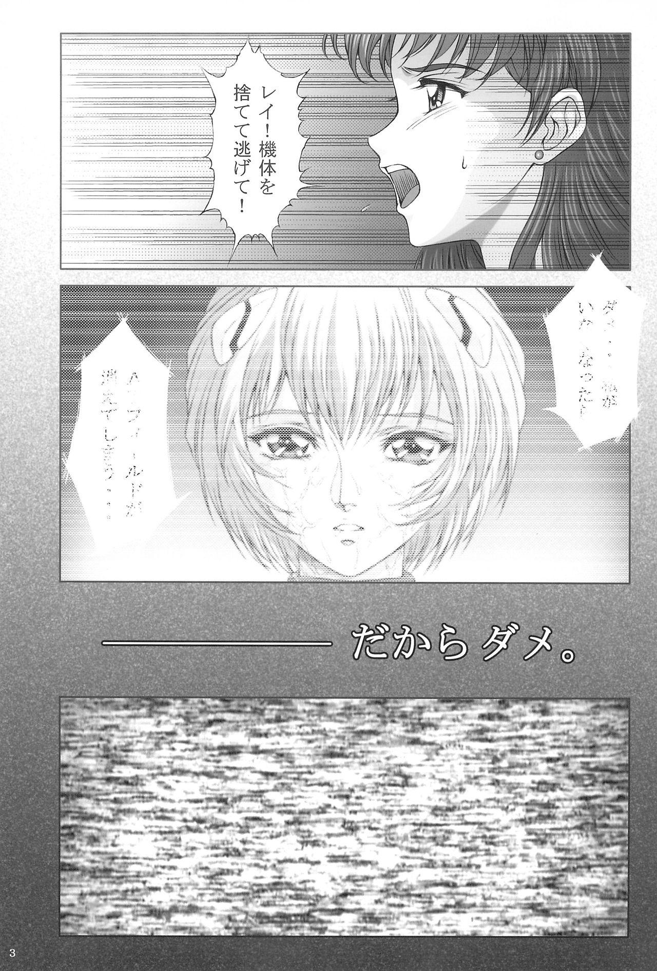 (C74) [Karei NUDOL (Komura Keita)] Ayanami Hokan Keikaku (Ichi) Kaiteiban (Neon Genesis Evangelion) 4