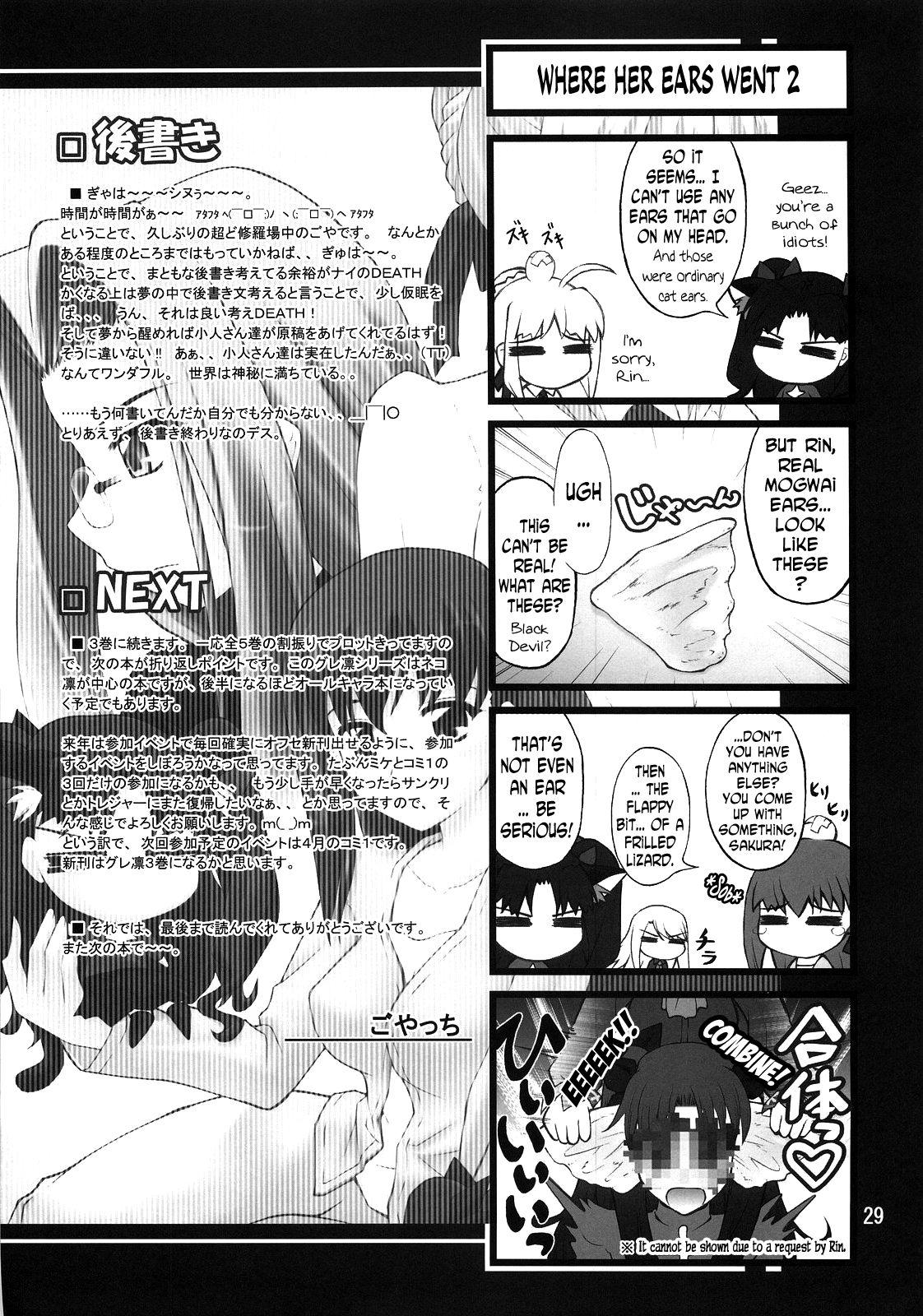 Amateur Asian Grem-Rin 2 - Fate stay night Big - Page 28