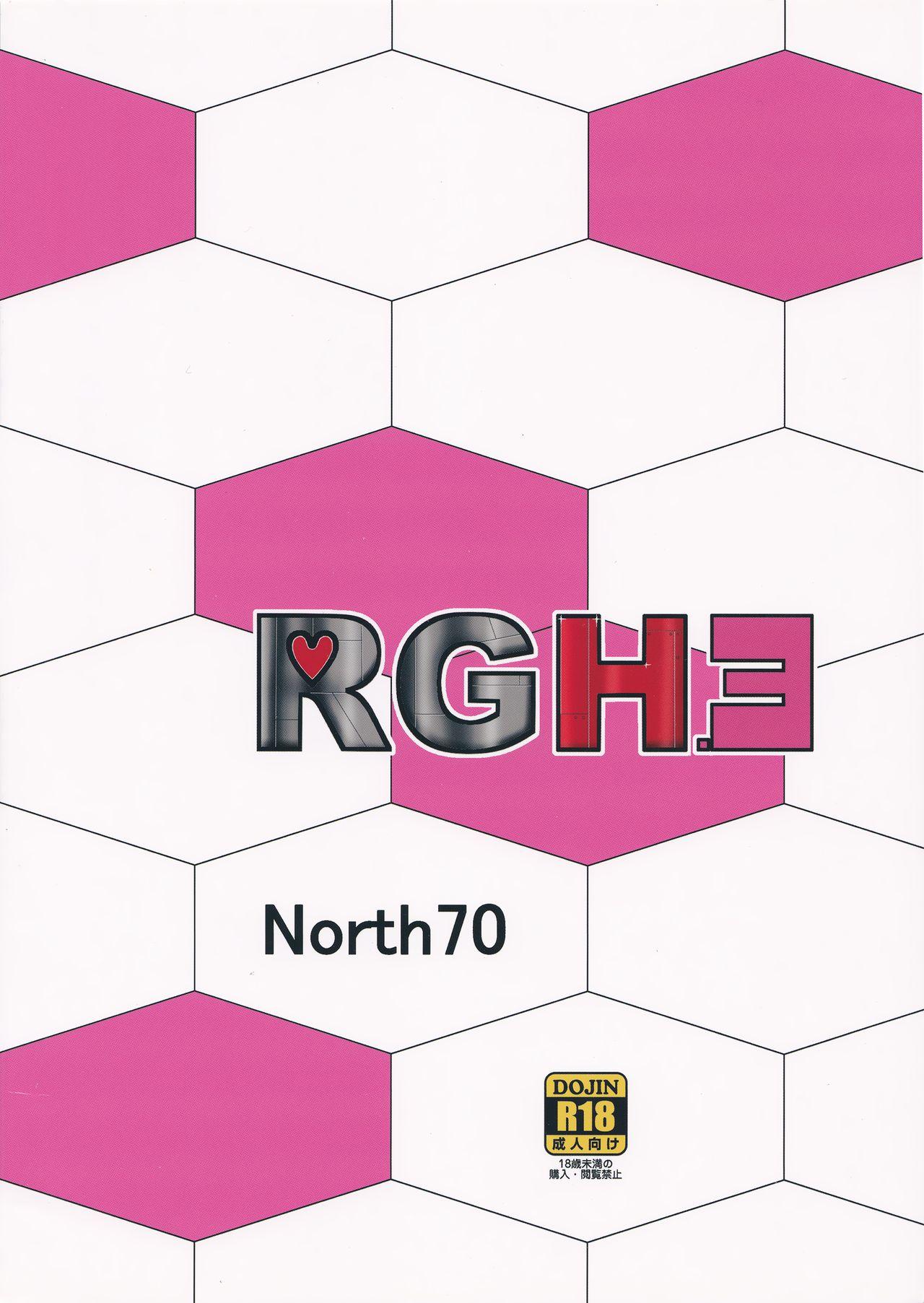 RGH.3 29