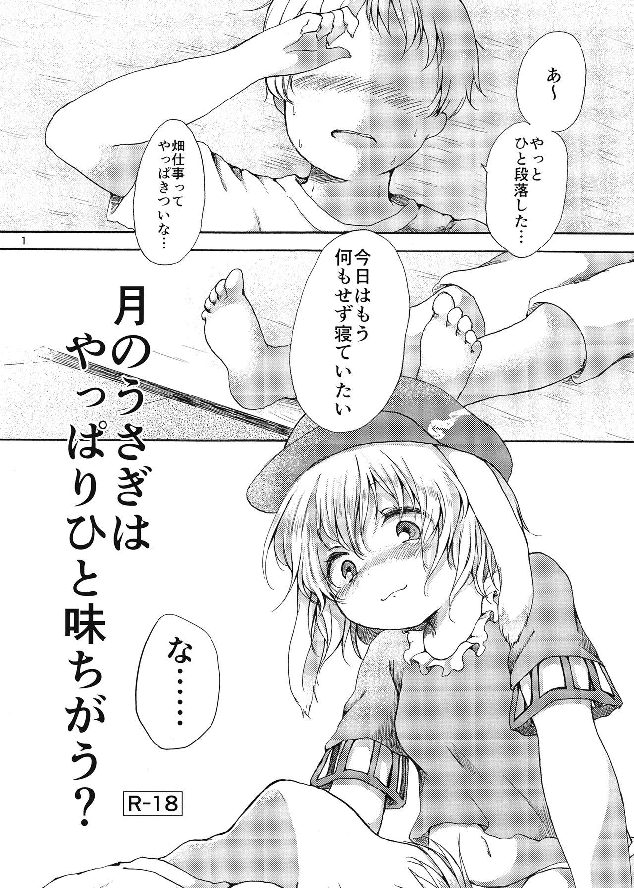 Gay 3some Tsuki no Usagi wa Yappari Hito Aji Chigau? - Touhou project Cam Porn - Page 1