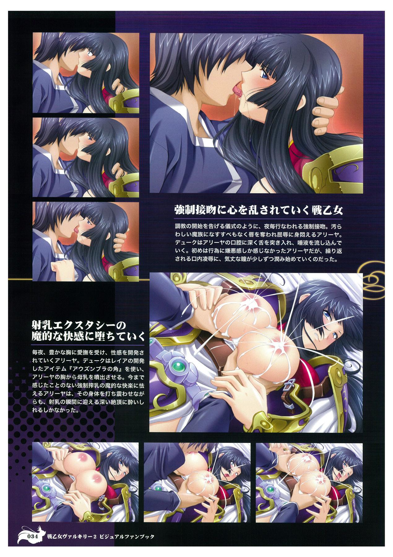 Ikusa Otome Valkyrie 2 Visual Fanbook 36