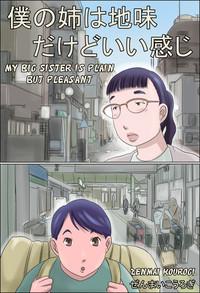 Boku no Ane wa Jimi dakedo ii Kanji | My Big Sister is Plain but Pleasant 0