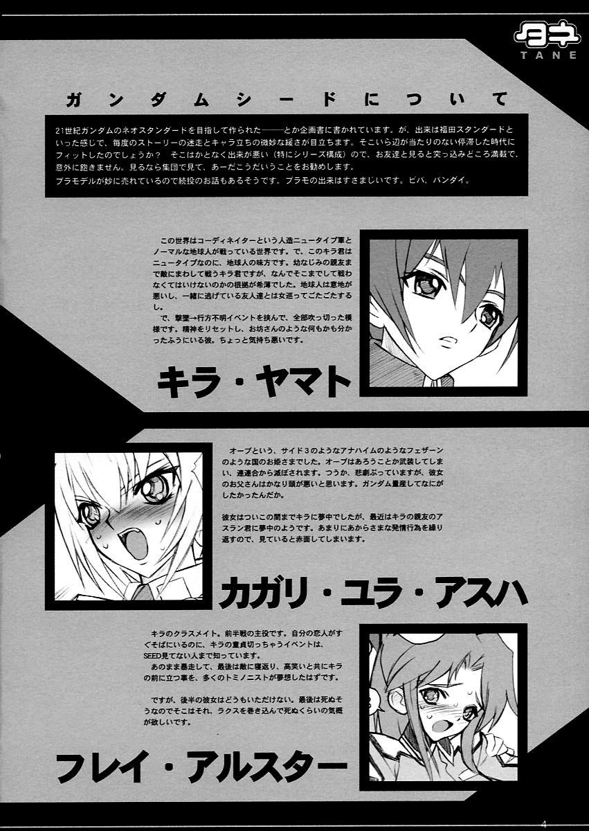 Old Vs Young Tane Bon - Gundam seed Cum On Face - Page 4