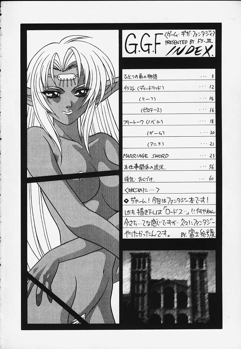Teasing G.G.F - Record of lodoss war Interacial - Page 2